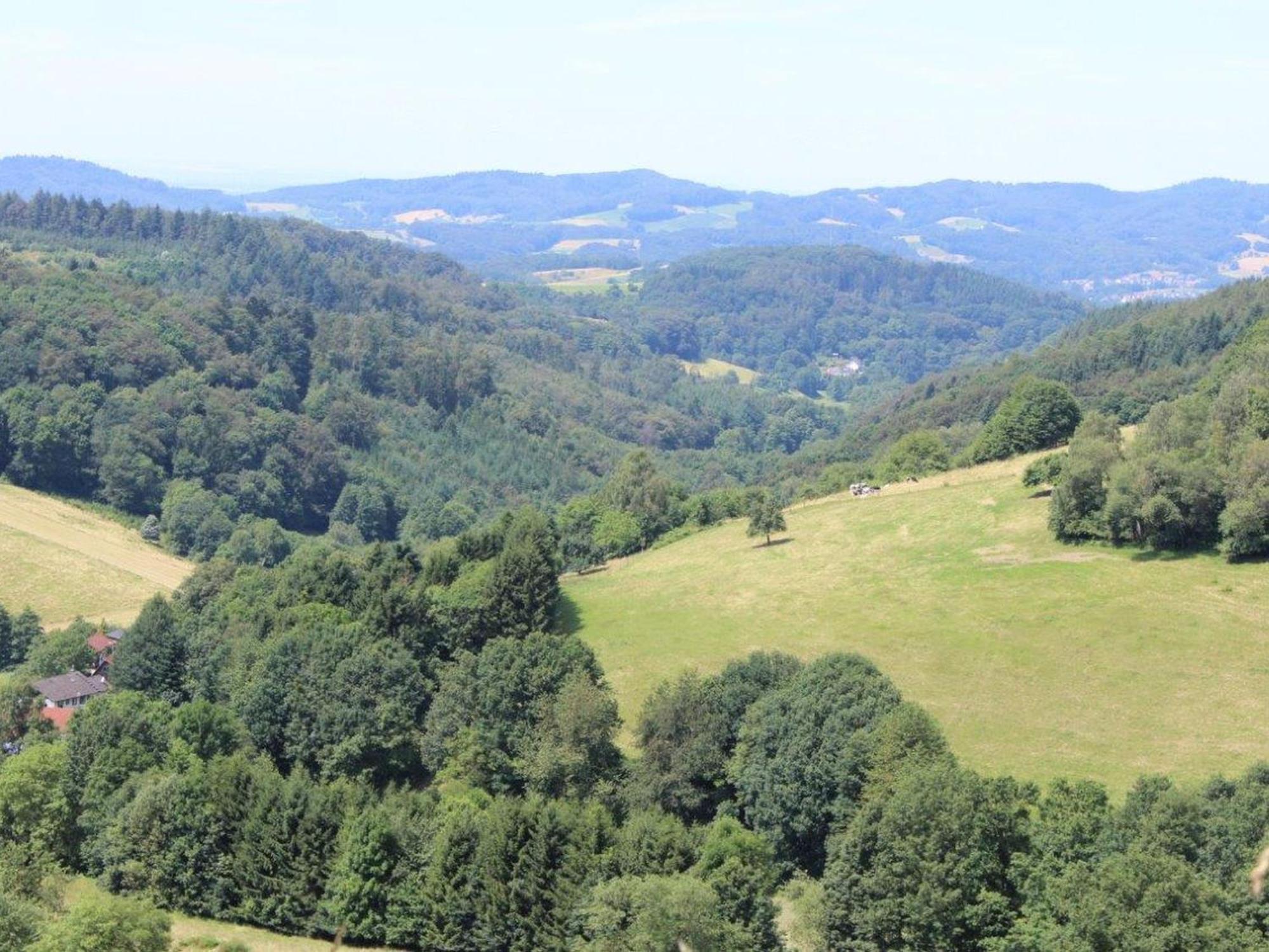 Ferienwohnung Rimbach Экстерьер фото